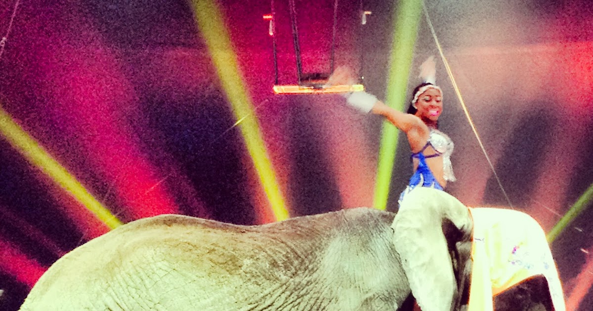 Real College Student of Atlanta: UniverSoul Circus review