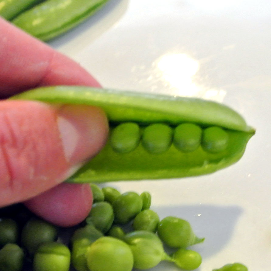 Mom, What's For Dinner? Crab Stuffed Sugar Snap Peas