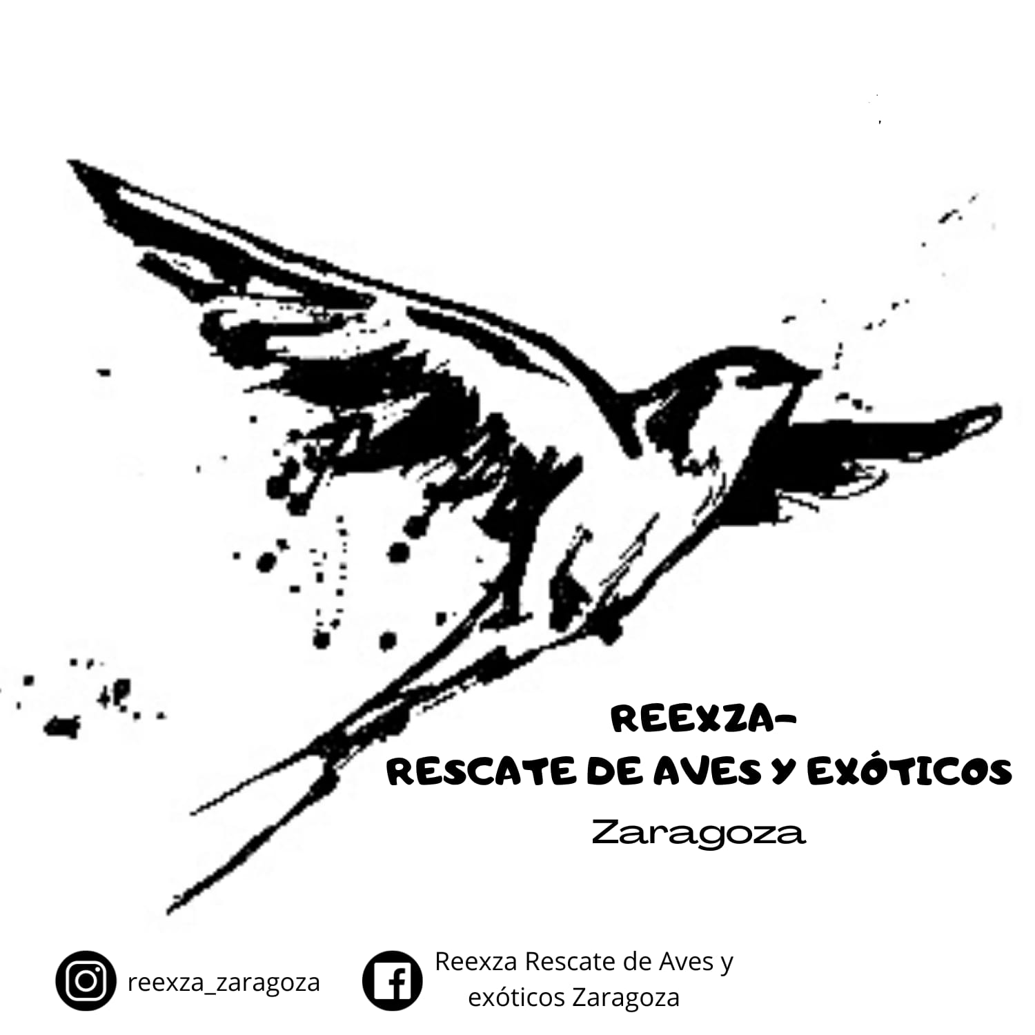 REEXZA Rescate de Aves y Exóticos Zaragoza