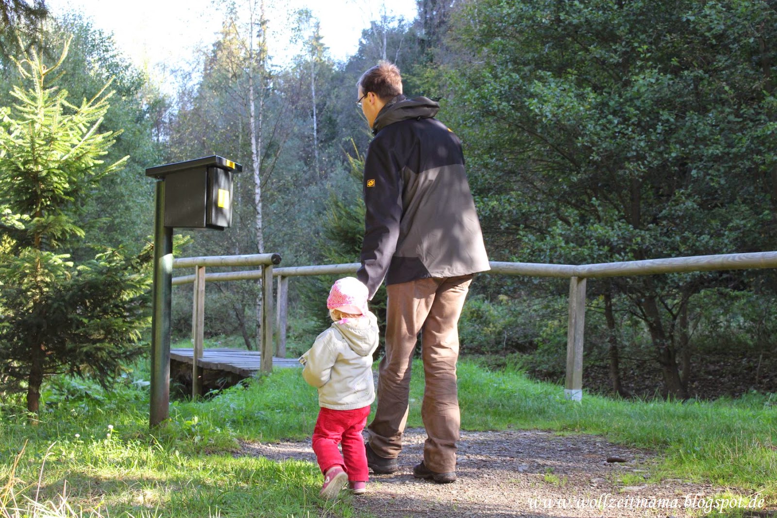 Campingplatz Im Harz Eulenburg Camping Rund Um Die Eulenburg