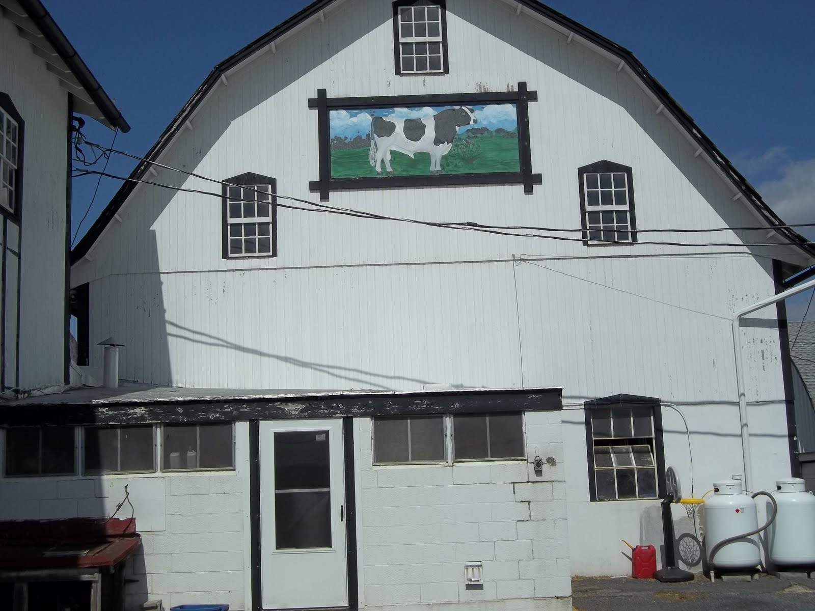Pure Country Living A Dairy farm in Lebanon,Pa.