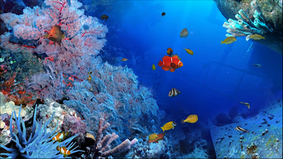 VALENTINA ROTH Y ROBO DE FOTOGRAFÍAS HOT