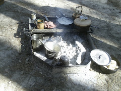 Camp fire cooking