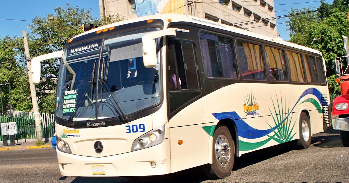 MAXIBUSES OMNIBUS DE TEQUILA, TEQUILA PLUS