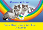 In memory of Roscoe and Opus