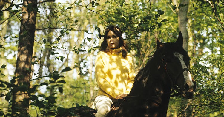 Herringbone Follyfoot fashion