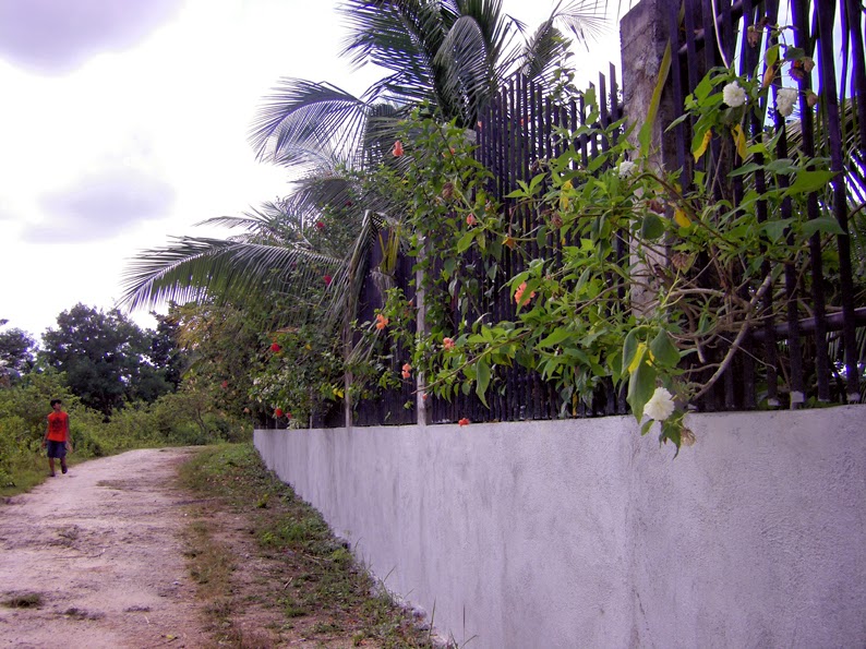 Philippines BoholPanglao island Dauis land for sale Philippines Bohol