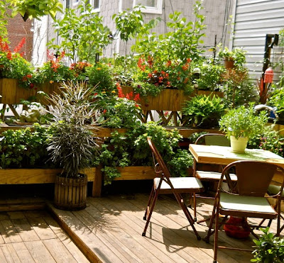 noviembre 2012 - Guia de jardin. Blog de jardinería y plantas. Aprende