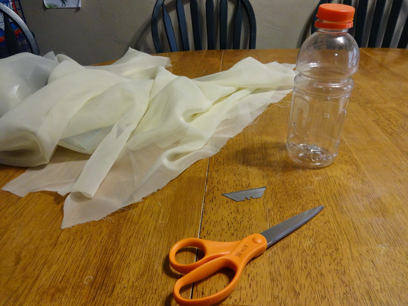 My Mantis Hobby Simple Drosophila (fruit fly) containers using