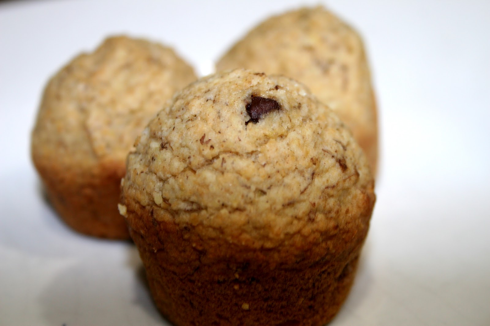 belly bites Banana Chocolate Chip Millet Muffins.