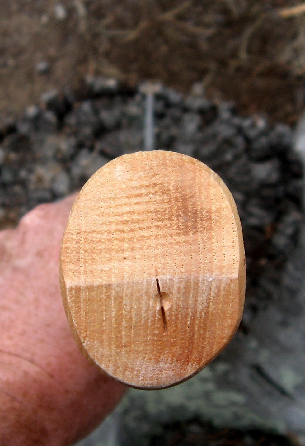 Rocky Mountain Bushcraft Review Council Tool "Broad Hatchet"