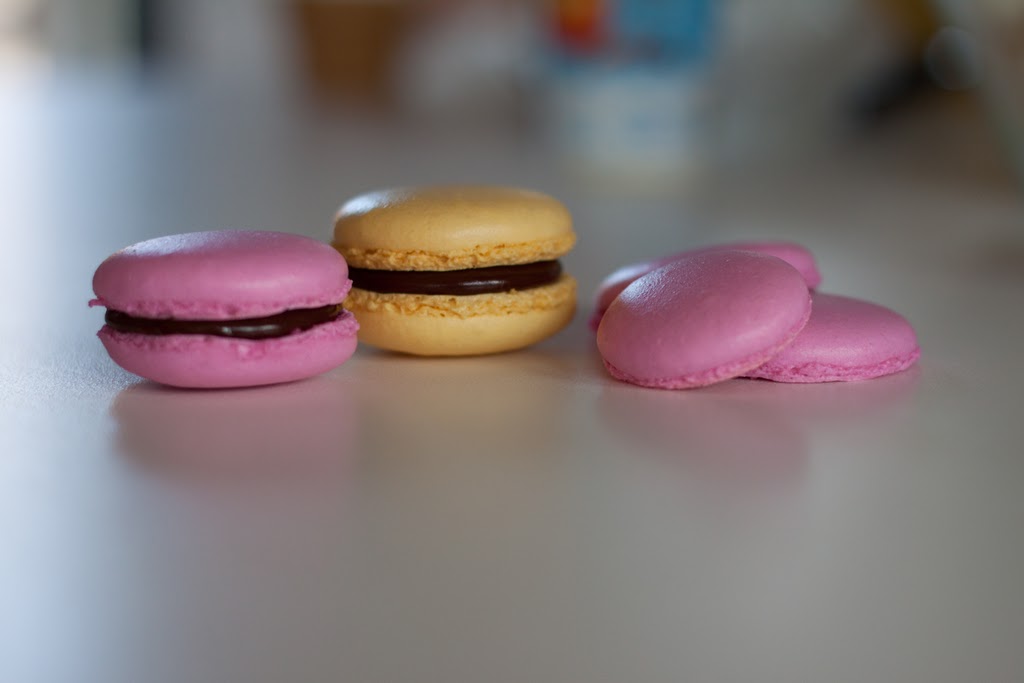 Les Macarons Potes And Rollmops