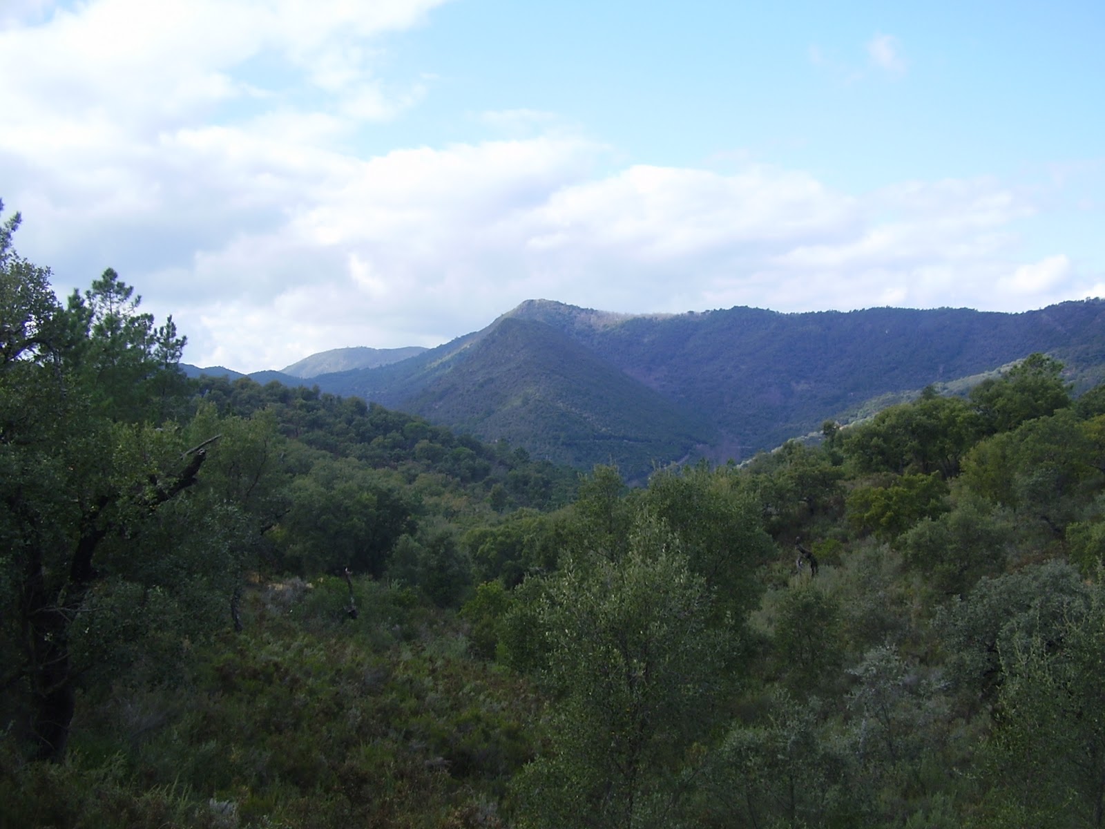 Senderos Almariya 6. Sendero Aracena a Linares de la Sierra Huelva
