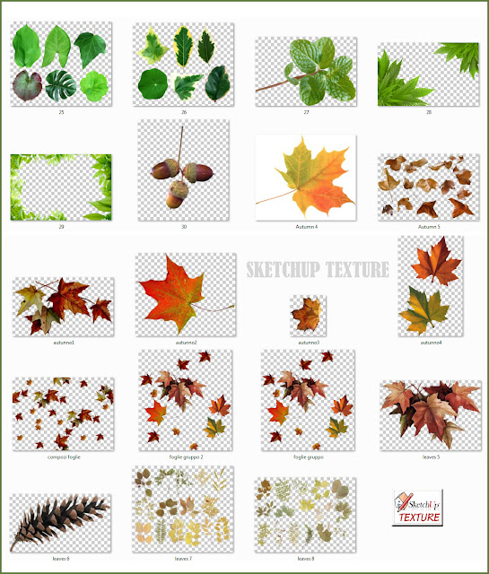 leaves png collection #2
