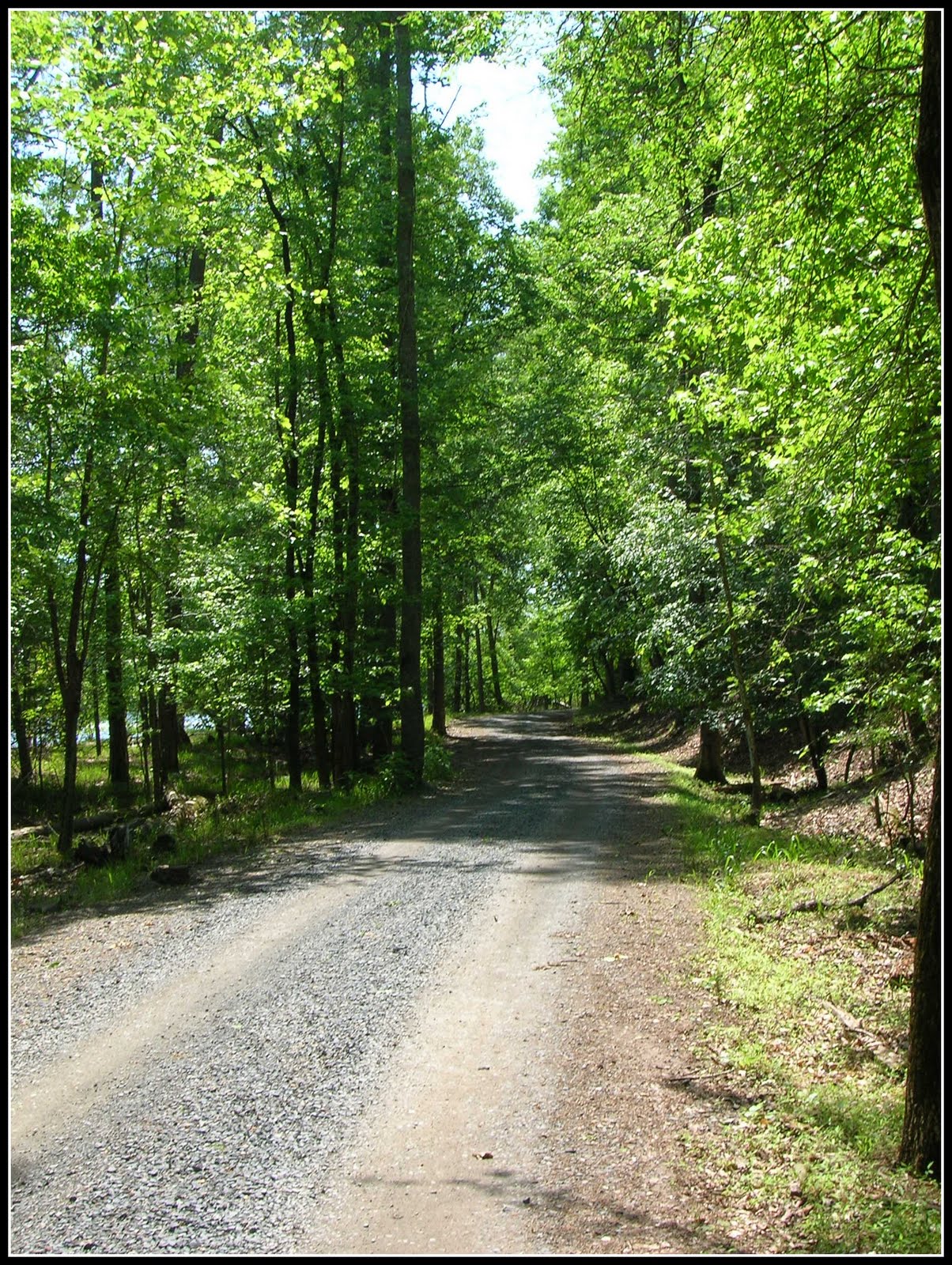 Songbird Cabin Morrow Mountain State ParkUwharrie Mountains