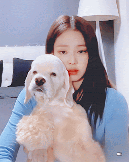 1564921955%2B%25283%2529.gif
