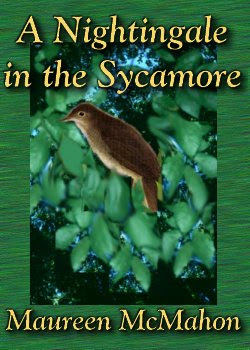 A Nightingale in the Sycamore