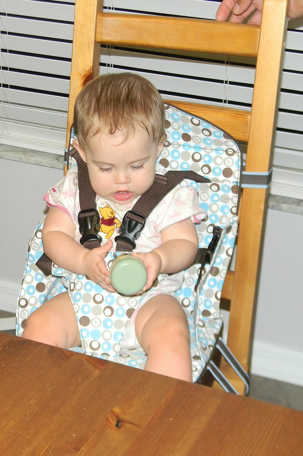 polar gear baby seat