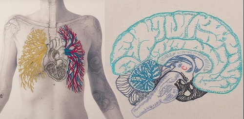 00-Juana-Gómez-Embroidered-Anatomy-exposing-Internal-Physiology-www-designstack-co