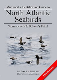 Multimedia ID Guide to North Atlantic Storm-petrels. Click cover below to find out more...