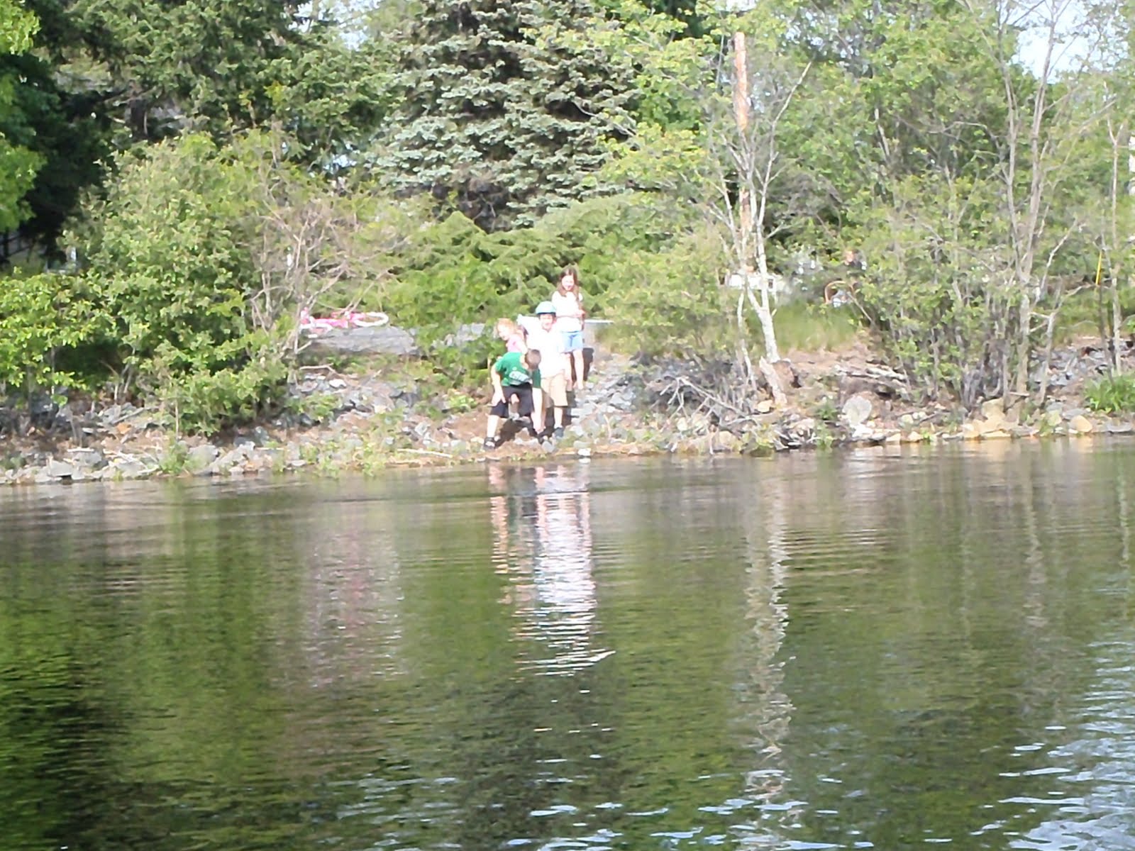 MichalsBrown Adventures MidMay on Lake Nippenicket