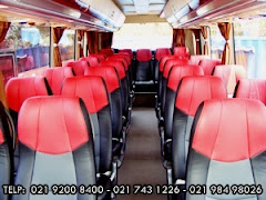 Interior Medium 25-31 Seat