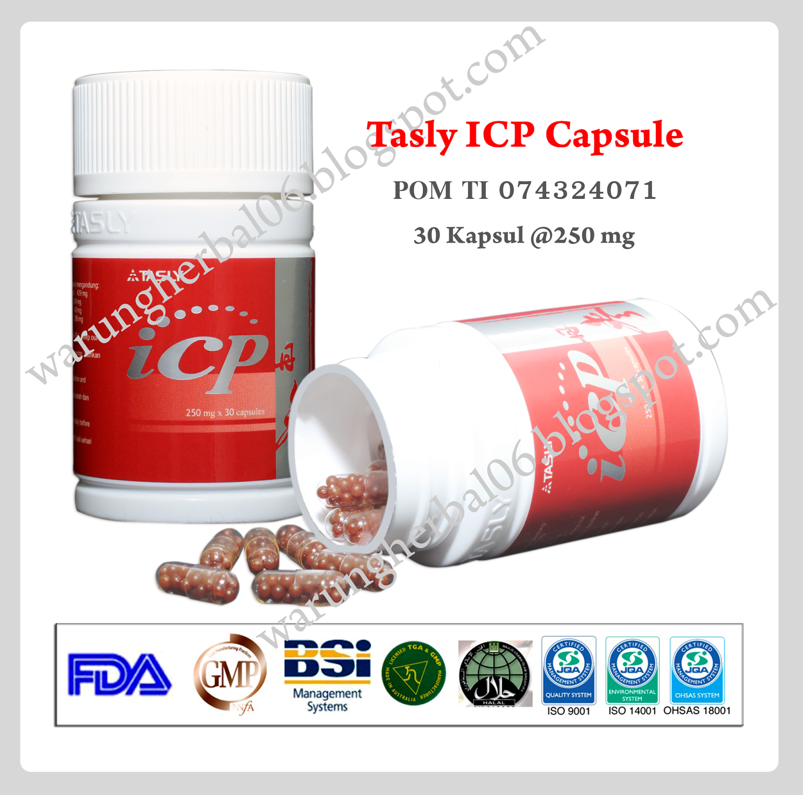 tasly icp capsule, tasly ICP, ICP tasly, warung herbal