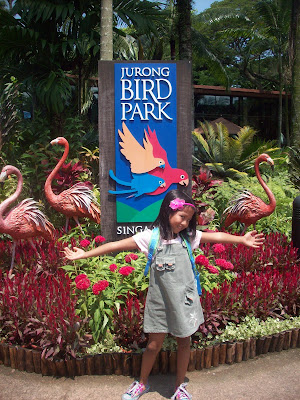Jurong Bird Park - Singapore