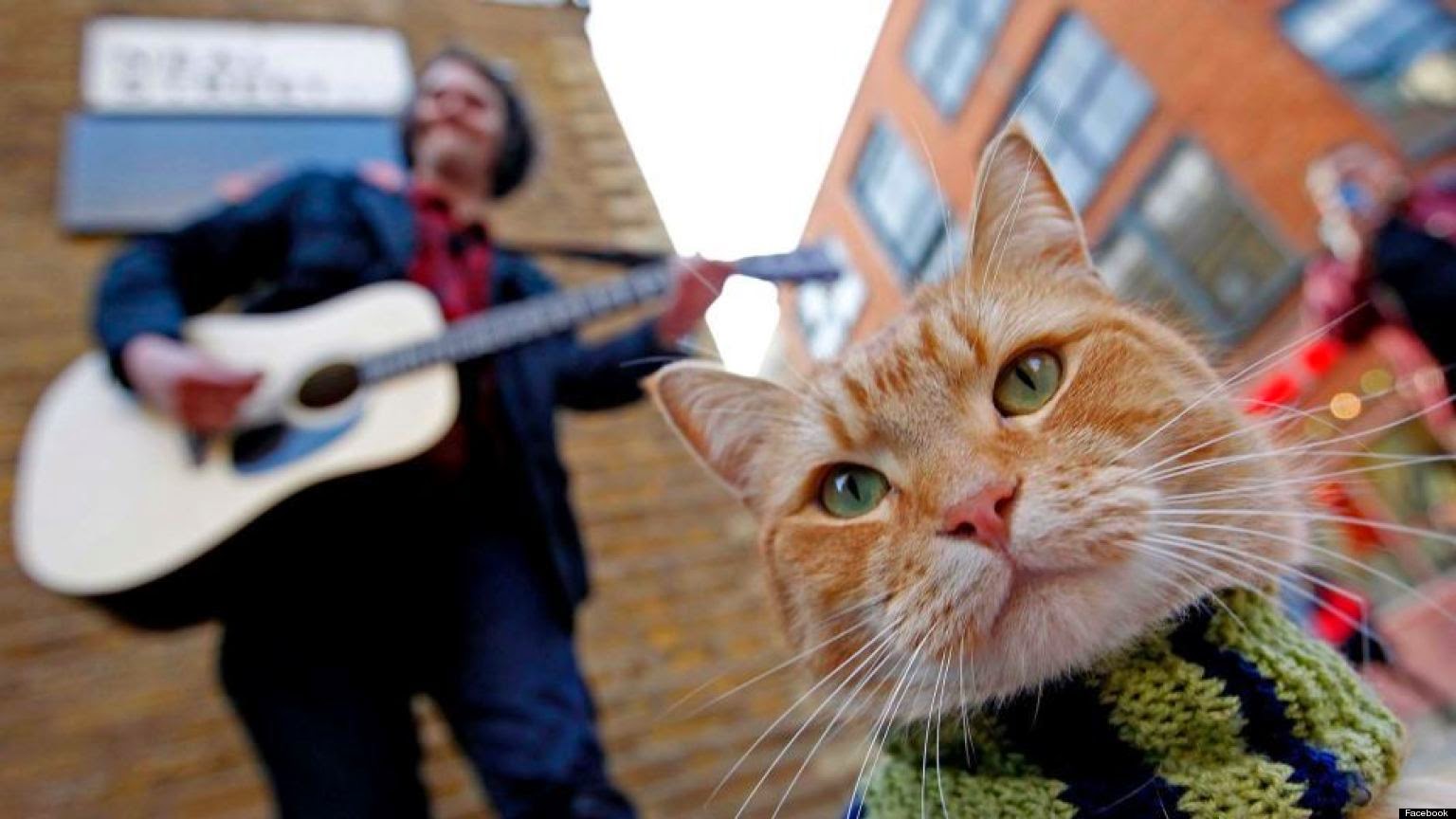Online 2016 Watch A Street Cat Named Bob Cinema