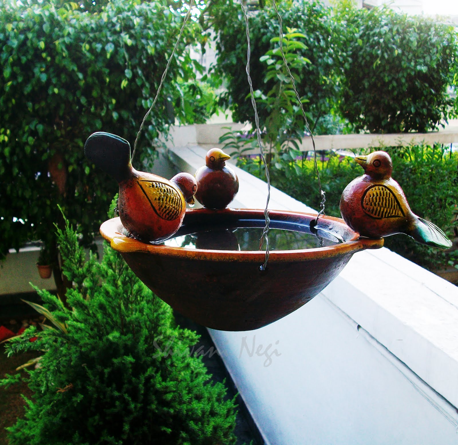 I Discover My Style birds need you this summer...