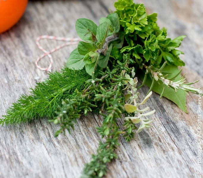 Cooking with Chef Alba To Stuff or Not to Stuff My Turkey?