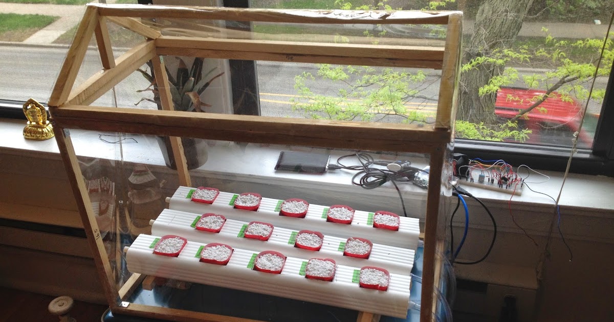 Raspberry Pi Powered Hydroponics New picture for the Twitter account!
