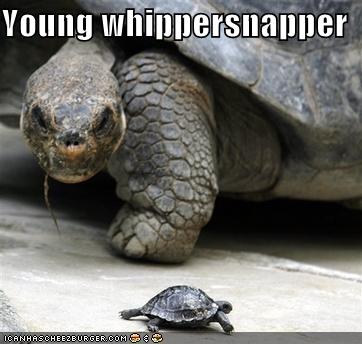 Young+whippersnapper.jpg