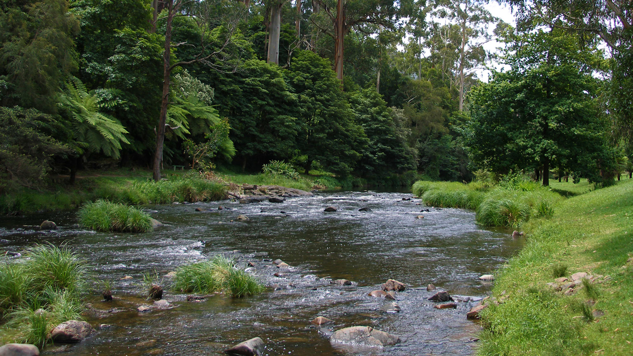 MAP WARBURTON, YARRA RANGES