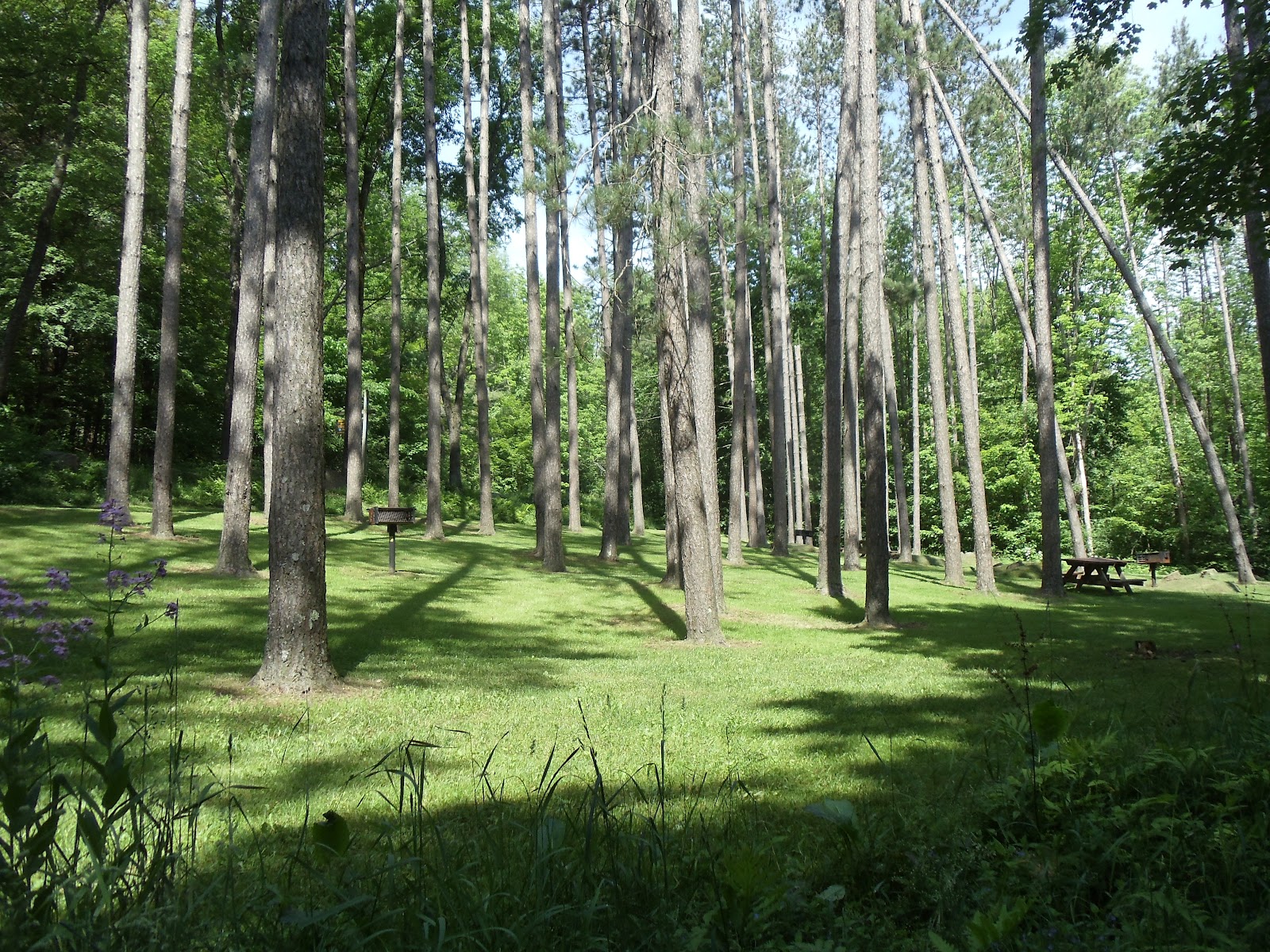 My Adventures Basswood Pond State Forest Adventure
