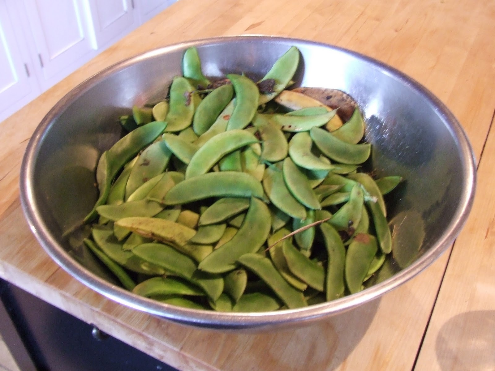 Plant it and Pullet Beginning the fall cleanup
