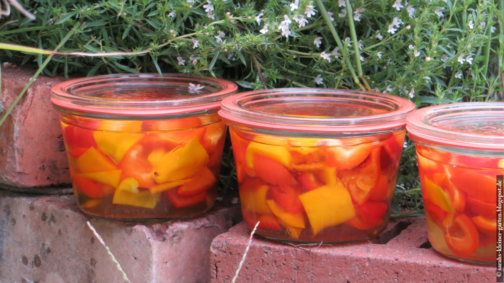 Meine kleine Welt Paprika einwecken