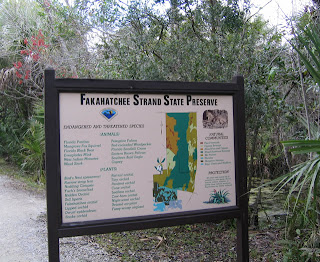 Fakahatchee Strand Fakahatchee Strand