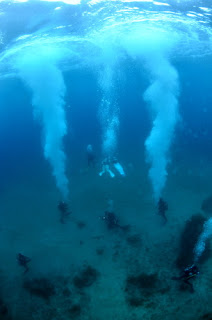 ブルーライン田後 海日記 海中結婚式