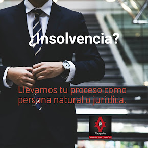 INSOLVENCIA ECONÓMICA