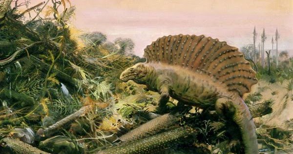 telcel2u: Permian Period Pictures Prehistoric Photos National Geographic