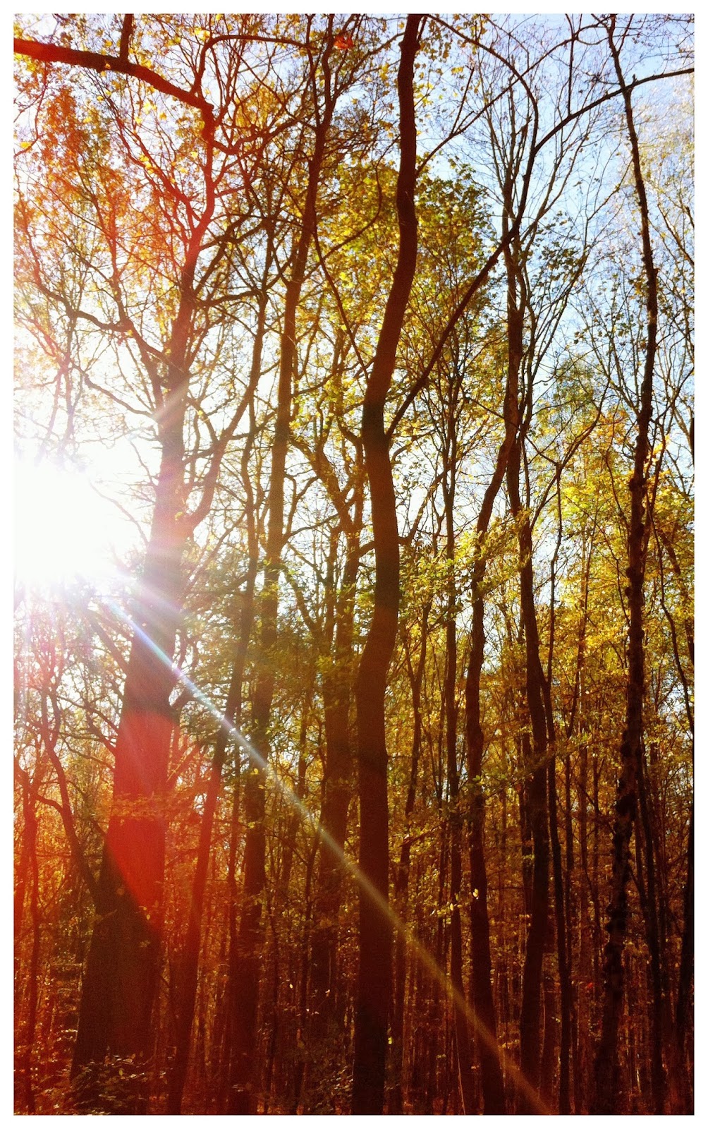 Serendipity is Life: Im Herbstzauberwald mit Zahnfee und Fusselfee