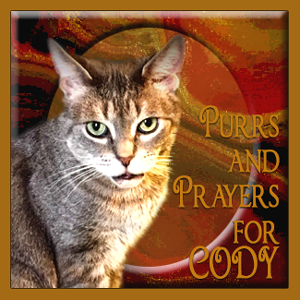 Purr for Cody