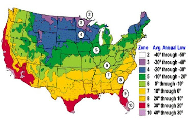 What's your plant zone?