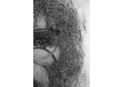 212 CREDIT CARD PORTRAIT BOB