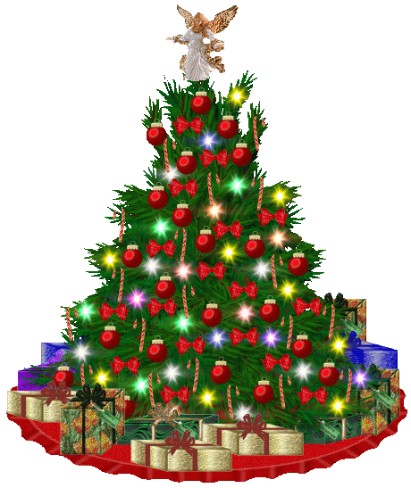 dorchester times: business spotlight: kohout's christmas trees dorchester times: business spotlight: kohout's christmas trees