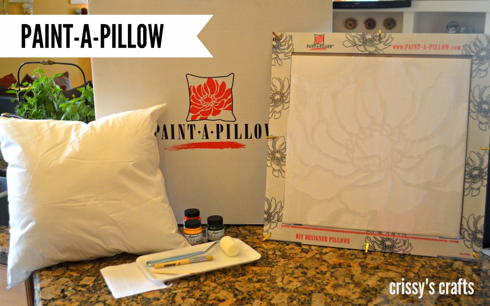 Crissy's Crafts PAINTAPILLOW AND GIVEAWAY