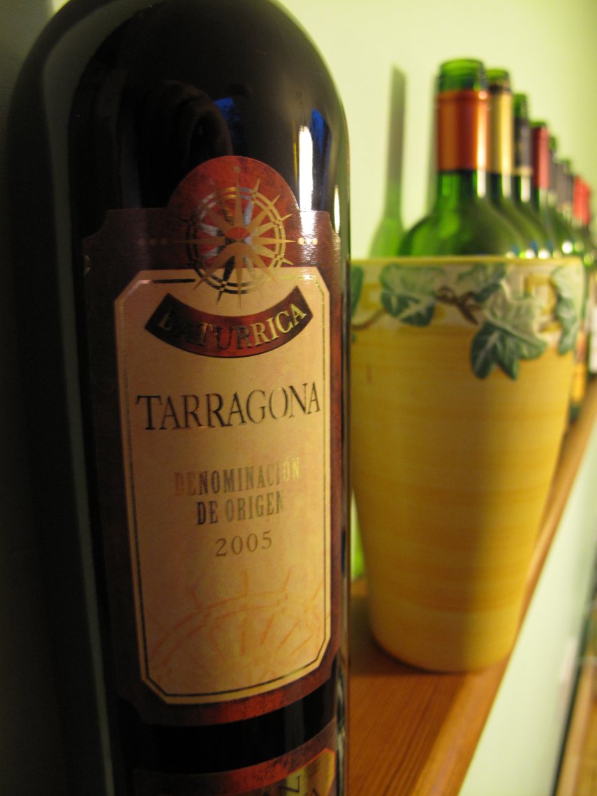 S and V's Beginner's Attempt at Wine Tasting Tarragona Gran Reserva