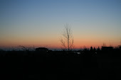 Dawn From Back Deck