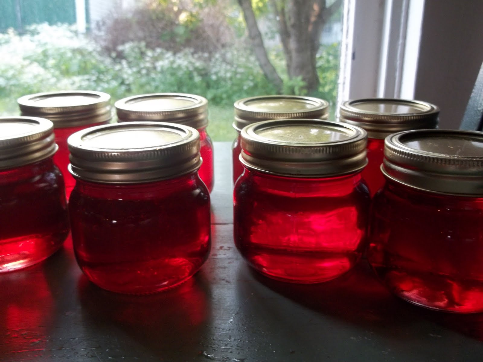 THE BLESSED HEARTH Red Red Rose.... Jelly that is .. and a tip....